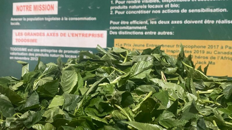 Corète potagère (Adémè) disponible à la boutique Togosime