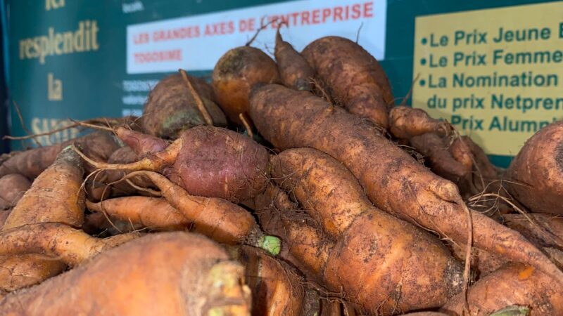 Carottes bio Togosime | Disponible à la boutique Togosime